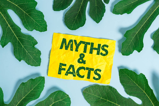 Text sign showing Myths And Facts. Conceptual photo usually traditional story of ostensibly historical events. - Photo, Image