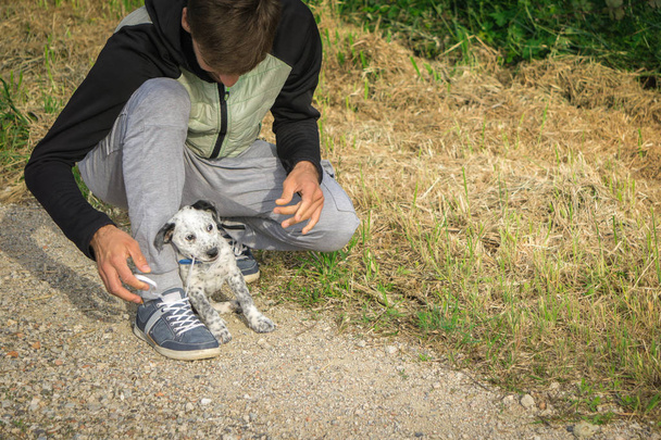 Puppy helping to tie jogging shoes. Young man getting ready to run outdoors on sunny day. Healthy lifestyle concept. - Fotografie, Obrázek