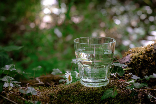 Un verre d'eau propre, sur la nature. Concept d'une vie saine
 - Photo, image