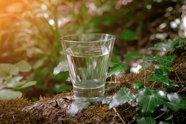 Un vaso de agua limpia, sobre la naturaleza. Concepto de una vida saludable
 - Foto, imagen