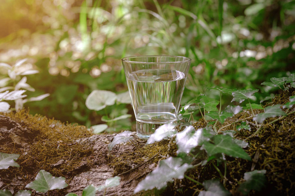 Ένα ποτήρι καθαρό νερό, στη φύση. Έννοια της υγιούς ζωής - Φωτογραφία, εικόνα