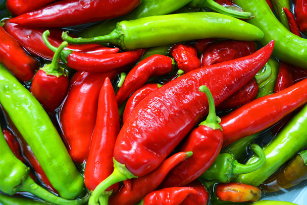 Bright hot red and green Ukrainian peppers in the water, healthy food and vegetables for health. - Foto, Imagem