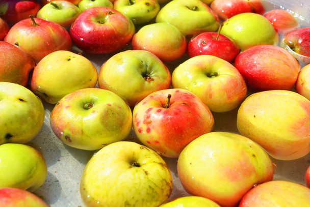 Ουκρανικά φωτεινά και πολύχρωμα, φρέσκα μήλα βγαλμένα από ένα δέντρο και ξαπλωμένα με νερό για πλύσιμο. Φωτεινό νόστιμο φόντο, φυσικό φαγητό για την υγεία και την ομορφιά. - Φωτογραφία, εικόνα
