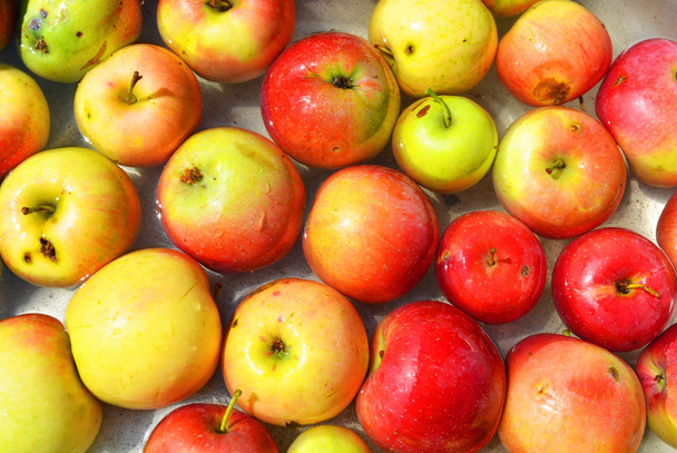 Ukraińskie jasne i kolorowe, świeże jabłka oskubane z drzewa i leżącego z wodą do mycia. Jasne smakowite tło, naturalna karma dla zdrowia i urody. - Zdjęcie, obraz