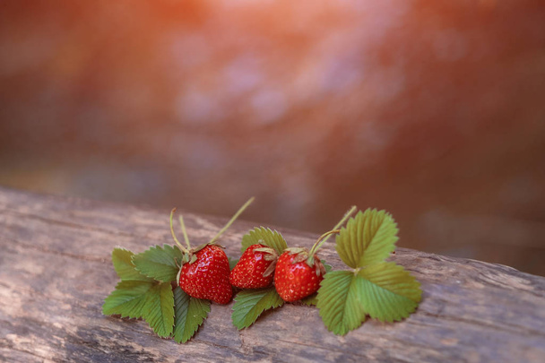 Tè rosso frutta con frutti di bosco in tazza di vetro, nella foresta, su sfondo luminoso
. - Foto, immagini