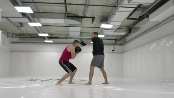 Kickboxer erfüllt mit dem Trainer die Steilhänge der Udra und die Tauchgänge auf den Pfoten in Zeitlupe - Filmmaterial, Video
