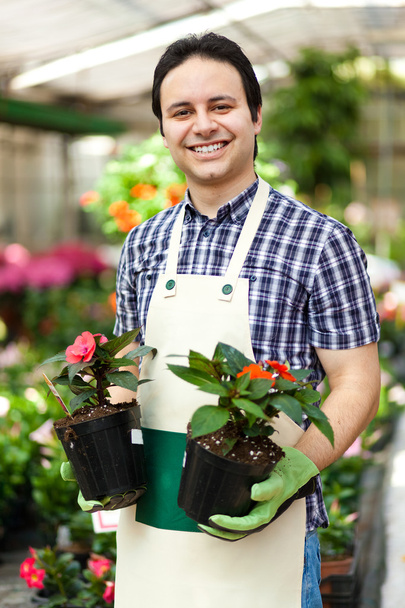 Happy gardener in a greenhouse holding flowers - Foto, Bild