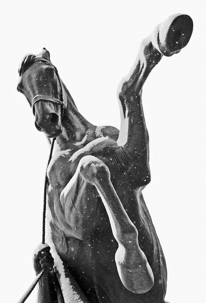 Приборкання коней
 - Фото, зображення
