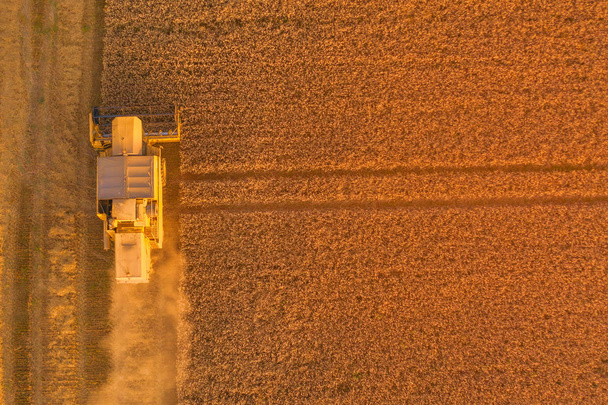 Tiro aéreo Birdseye de uma Colheitadeira Combinada colhendo um campo de trigo ao pôr do sol no Reino Unido
 - Foto, Imagem