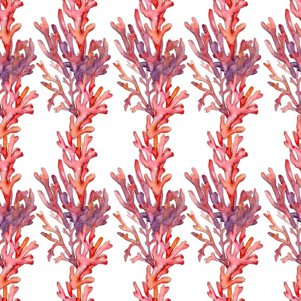 Arrecife de coral de naturaleza submarina acuática roja. Conjunto de ilustración de fondo acuarela. Patrón de fondo sin costuras
. - Foto, imagen