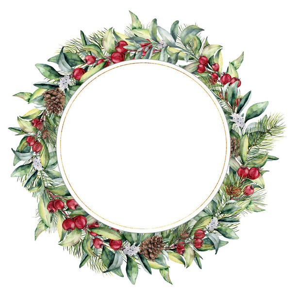 Watercolor circle template with pine cone and berries. Hand painted fir and eucalyptus leaves, red and white berries isolated on white background. Christmas floral illustration for print, design. - 写真・画像