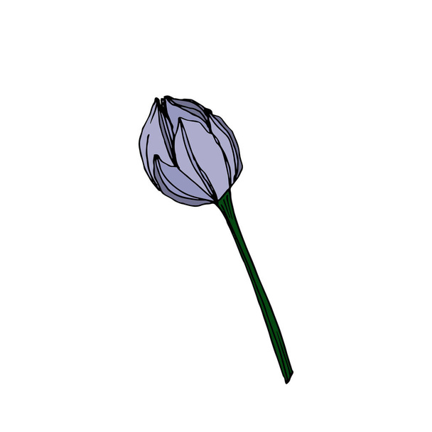 Vector Lotus virágos botanikai virágok. Fekete-fehér vésett tinta Art. Különálló Lotus illusztrációs elem. - Vektor, kép