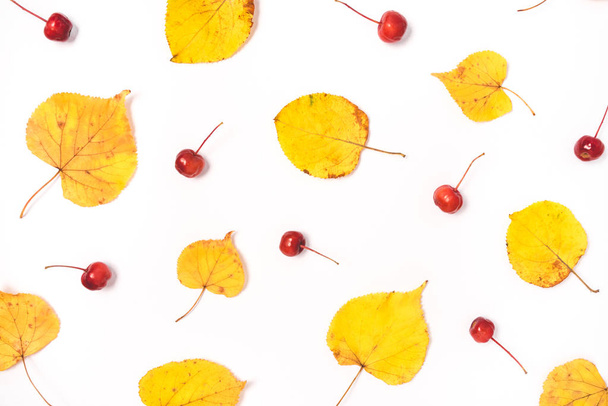Autumn composition of yellow leaves and red berries on a white background - Photo, image