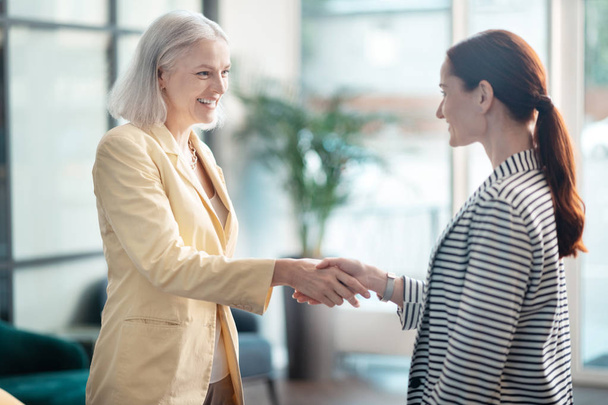 Smiling businesswomen shaking hands at their business meeting - Foto, imagen