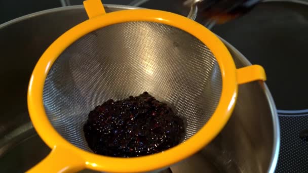 Homemade juice from Wild Blackberries-Squeezing - Séquence, vidéo