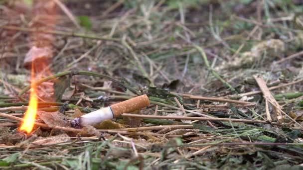 El cigarrillo tirado prendió fuego a la hierba. Un hombre tiró un cigarrillo en la hierba seca. Peligro de incendio. 4k - Metraje, vídeo