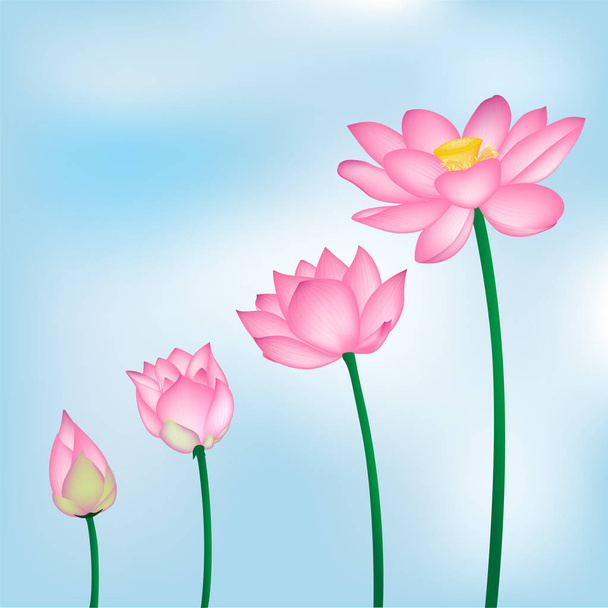 Vector kwiaty lotosu na białym tle na niebieskim tle ilustracji, joga, opieka zdrowotna - Wektor, obraz