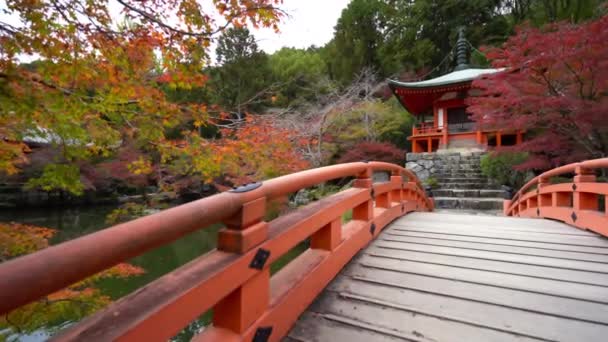 мальовничі кадри прекрасної традиційної японської пагоди - Кадри, відео
