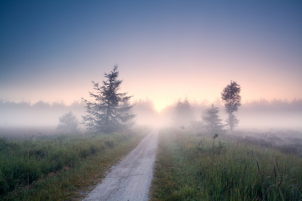 грунтовая дорога в туман на восходе солнца
 - Фото, изображение