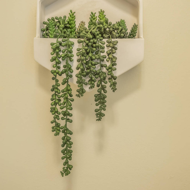 Rama kwadratowa Biała Taca z rośliną ozdobna zamontowana na białej ścianie łazienki - Zdjęcie, obraz