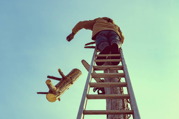 un hombre en una escalera tirando madera aserrada
 - Foto, Imagen