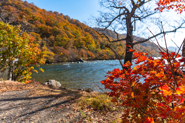 Beautiful autumn foliage scenery landscapes. Fall is full of magnificent colors. View from shore of Lake Towada, clear blue sky and water, white cloud, sunny day background. Aomori Prefecture, Japan - Photo, Image