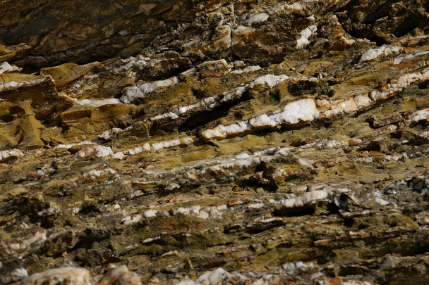 layered rock pattern, coastal Spain - Photo, Image