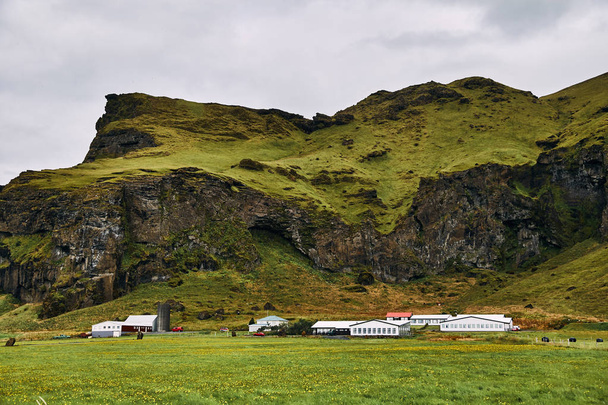 Volcanic mountains in Iceland. Farm in the field near the mountains.  - 写真・画像