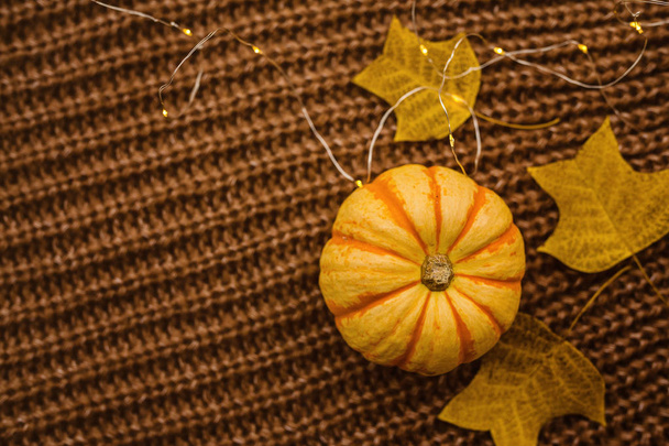 Осінній рама зроблена з гарбуза і попадало листя на коричневий в'язаний светр. Fall, Halloween and Thanksgiving Concept (англійською). Краєвид. Порожній простір для тексту. - Фото, зображення