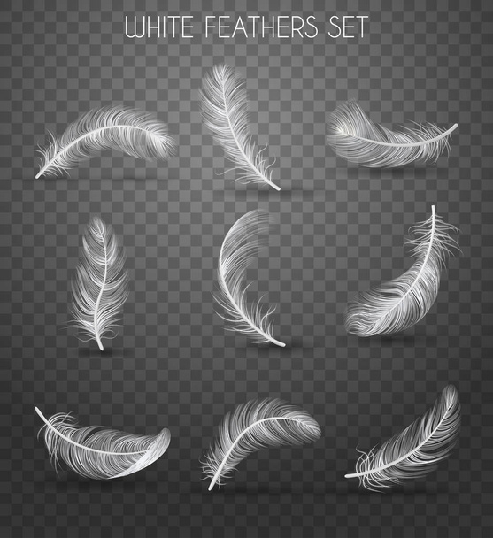 Realistic Feather Transparent Set - Vector, Image