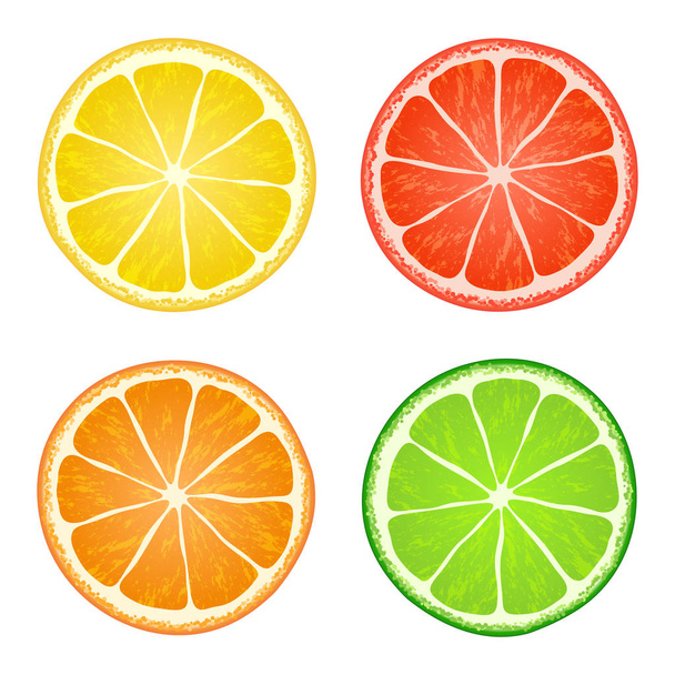 vector collection of citrus slices on white background - Vector, Image