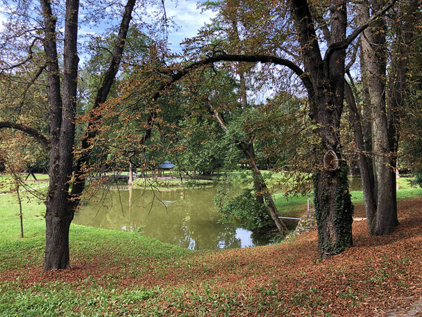 Sztuczne jezioro (staw) w parku zamku Pejacevic lub Umjetno Jezero (Ribnjak) u perivoju dvorca Pejacevic-Nasice, Chorwacja - Zdjęcie, obraz