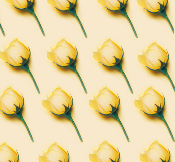 Yellow rose blossom pattern on yellow background. - Photo, image
