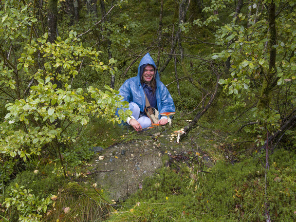 ユトゥンハイメン国立公園 .ベルゲン・フィヨルドと森.ベルゲン, ノルウェー - 11.09.2018 - 写真・画像