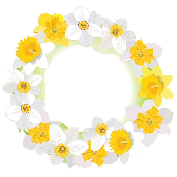 Daffodil vector frame - Vector, afbeelding
