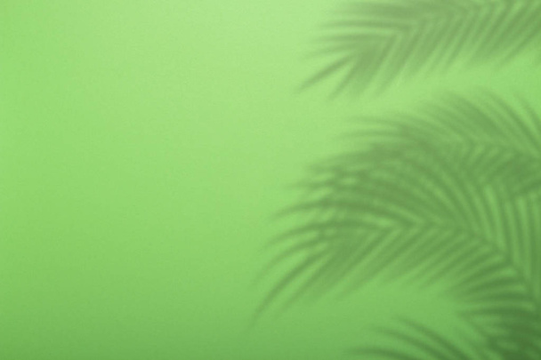 Stín z palmových listů na pozadí zelené stěny. Zelené pozadí, karton. Abstraktní obraz. Tropický koncept - Fotografie, Obrázek