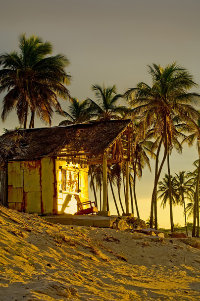 Praia de Palm-Lined em Cuba
 - Foto, Imagem