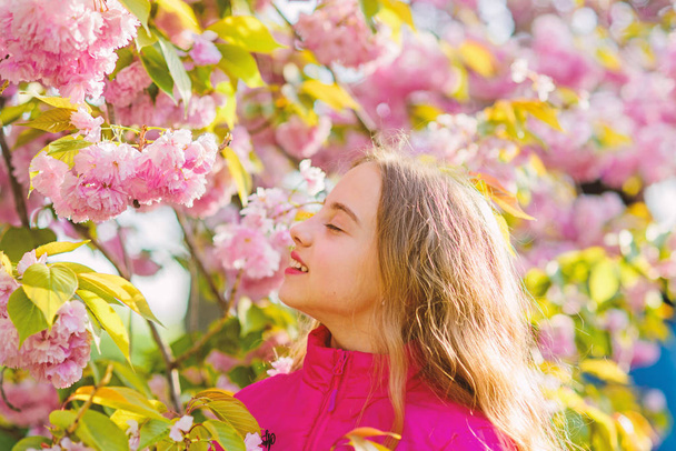 happy girl in cherry flower. Sakura tree blooming. skincare. Natural cosmetics for skin. summer holiday. Childhood beauty. small girl in spring flower bloom. blossom smell, allergy. Impossible scent - Photo, image