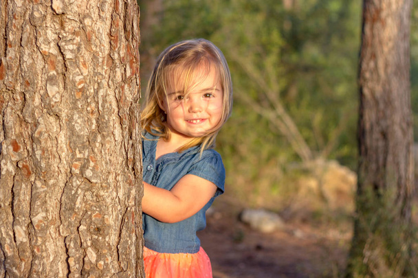 ein nettes blondes kleines Mädchen, das bei Sonnenuntergang hinter einem Baum Verstecken spielt - Foto, Bild