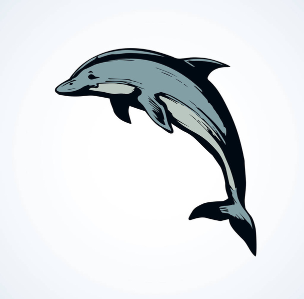 Un dauphin. Dessin vectoriel
 - Vecteur, image