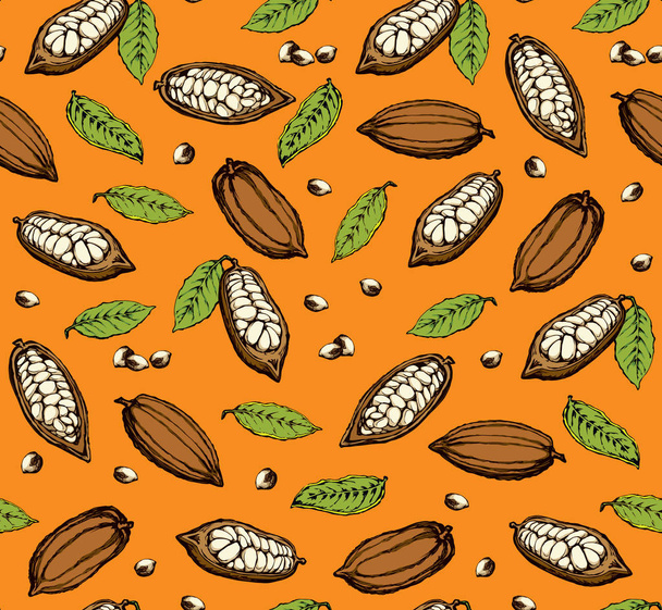 Cocoa Fruits. Vector drawing - Vector, Image