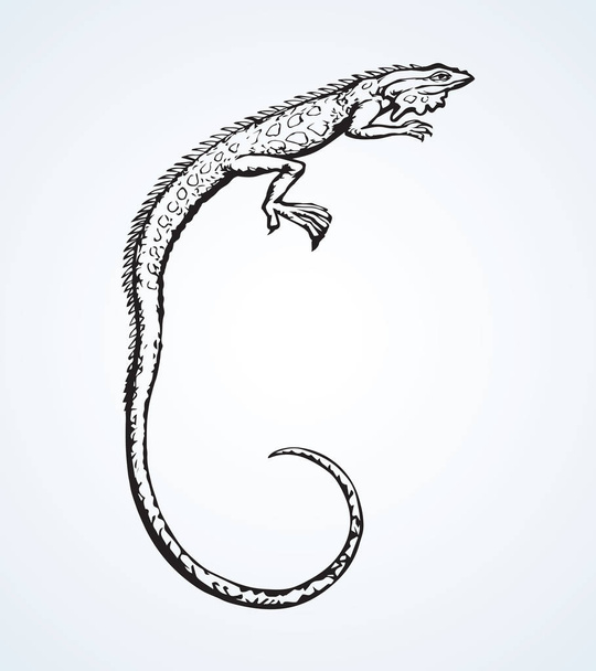 Iguana. Vector drawing - Vector, Image