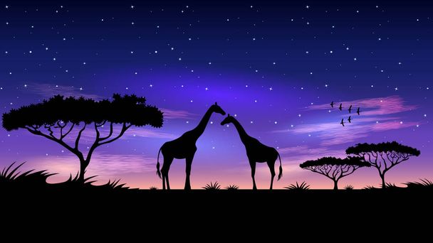 Afrika bei Nacht. - Vektor, Bild