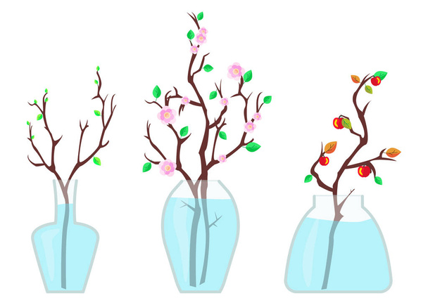 Set of glass transparent vases with water and flowering branches isolated on white background - Vector, Image