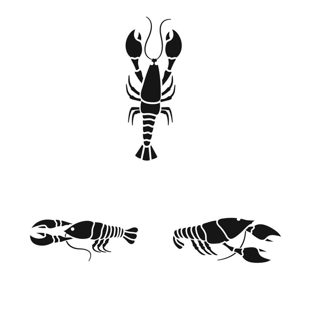 Isolated object of meat and delicacy symbol. Collection of meat and crab vector icon for stock. - Vector, imagen