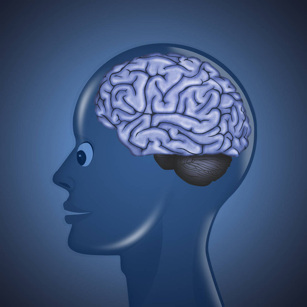 εικόνα του ανθρώπινου εγκεφάλου στο κεφάλι - Φωτογραφία, εικόνα