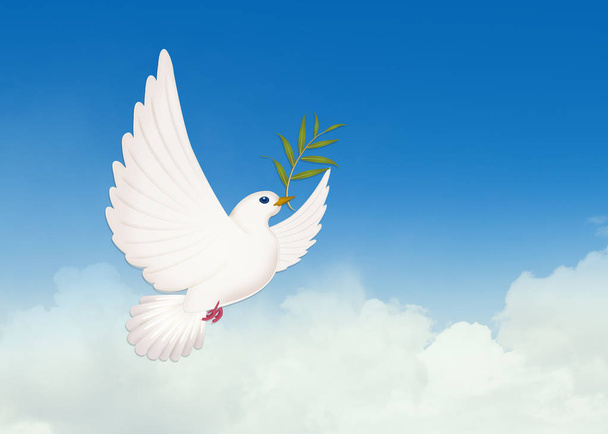illustration of dove with olive in flight - Photo, Image