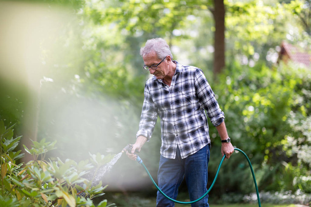Retired man watering plants in the garden - Zdjęcie, obraz