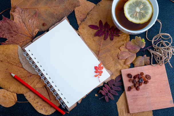 red pencil on an open notebook with readable sheets in a cage. objects on dry autumn leaves a cup with tea and a slice of lemon raisins on a notebook scetch book - Photo, Image