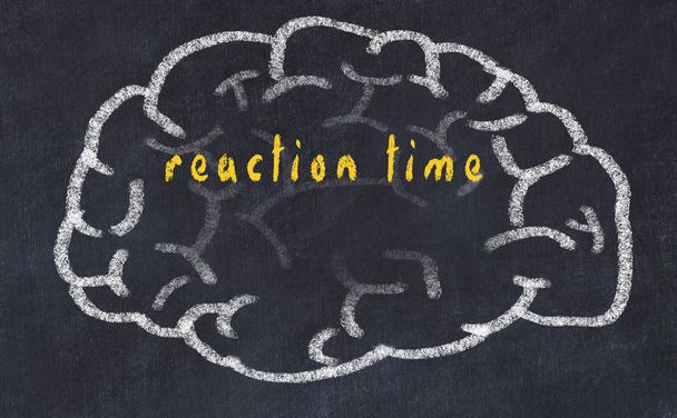 Drawind van menselijk brein op krijtbord met inscriptie reactietijd - Foto, afbeelding